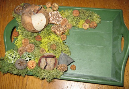 Apples & Pumpkins Tray